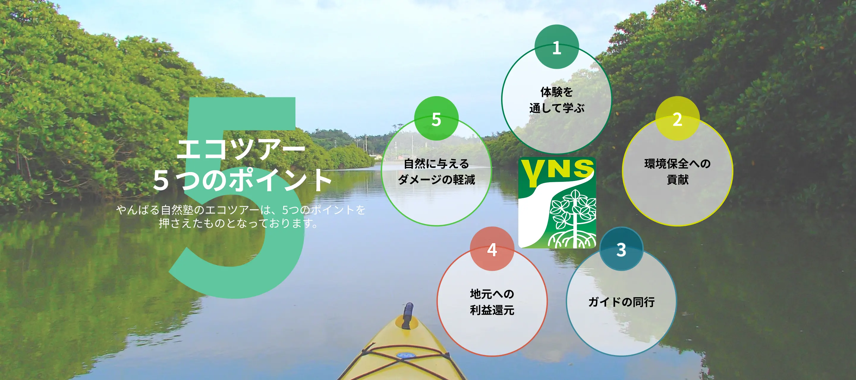 沖縄エコツアー５つのポイント