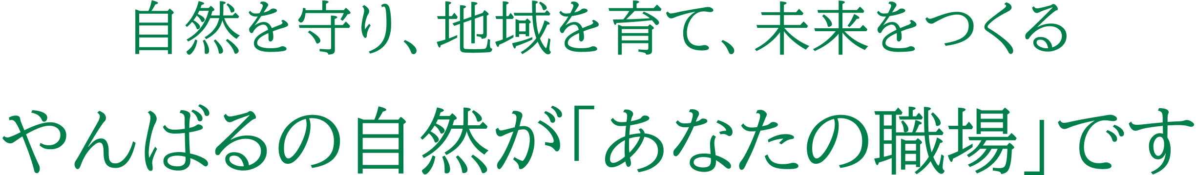 やんばる自然塾 会社概要 あなたの職場