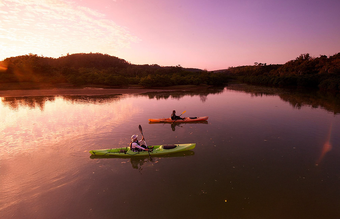 やんばる北部の自然