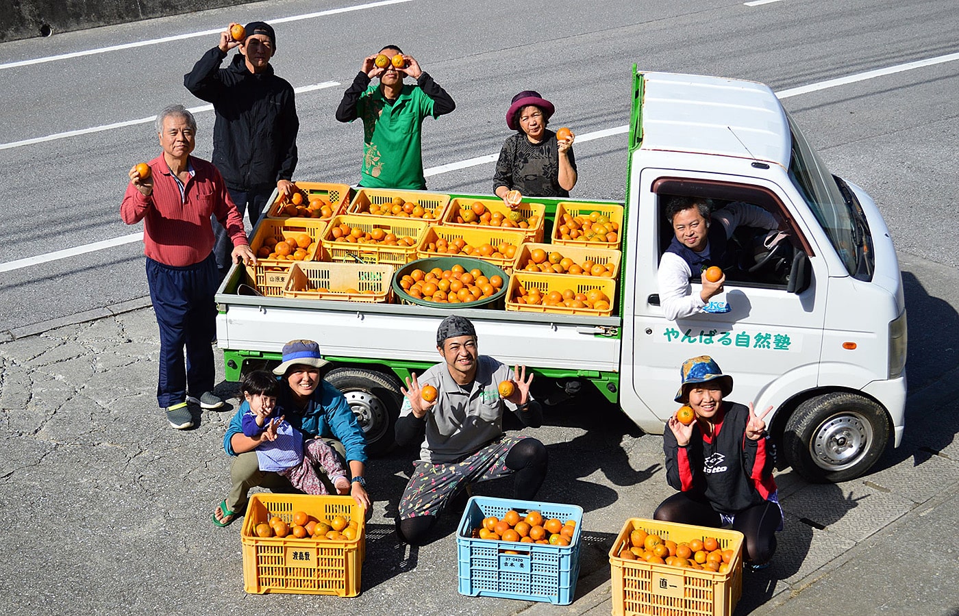 やんばる北部の自然 タンカン