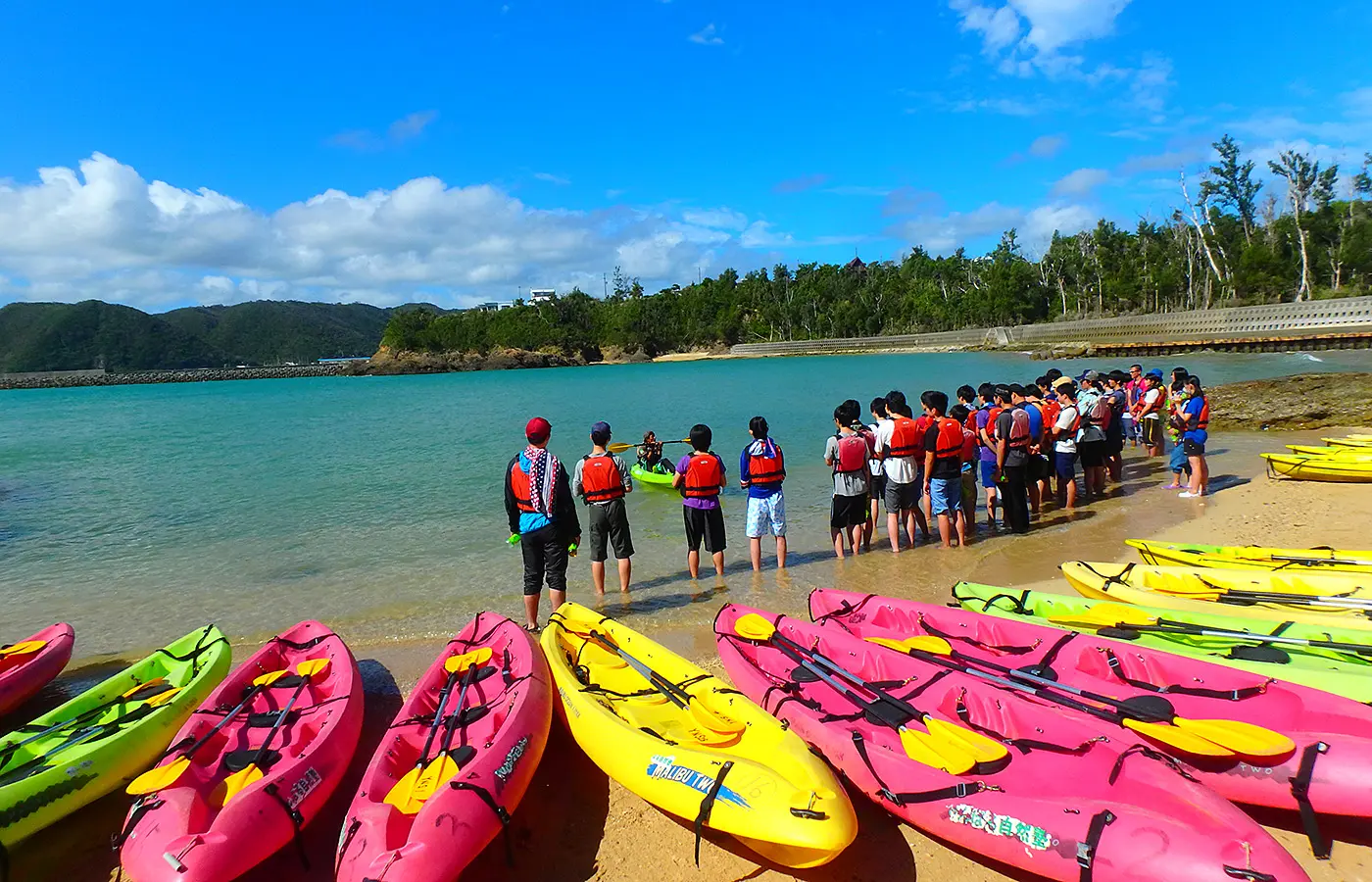 団体向けエコツアー