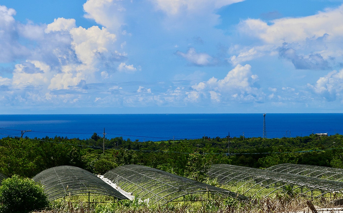 沖縄東村慶佐次エリア