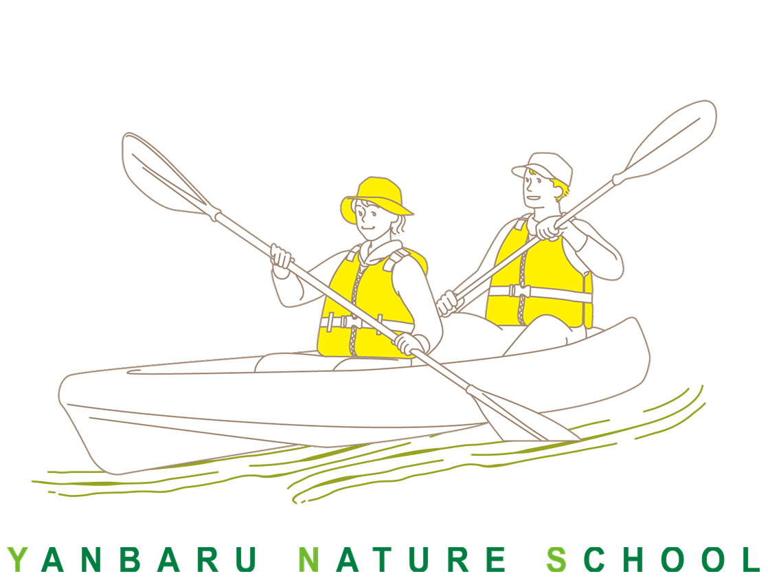 沖縄北部 カヤック