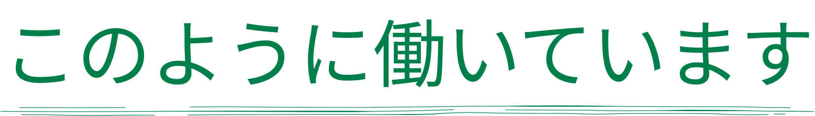 このように働いています やんばる自然塾