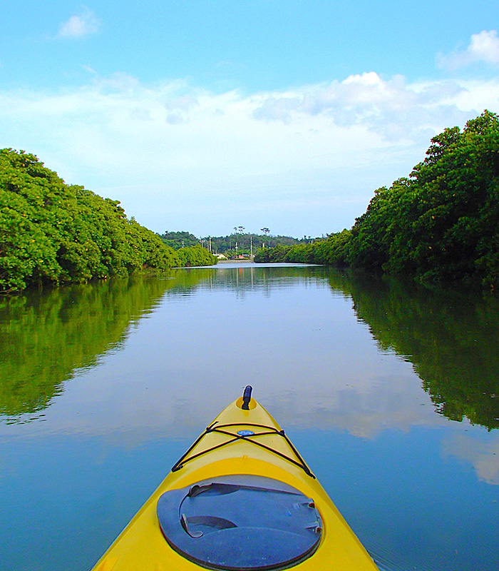 やんばる自然塾の事業概要