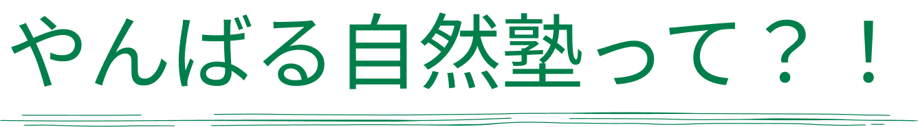 やんばる自然塾って？