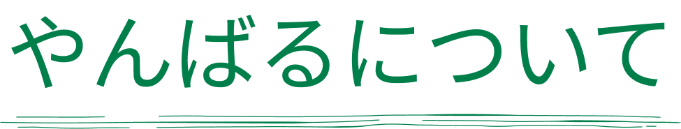 沖縄北部のやんばるについて