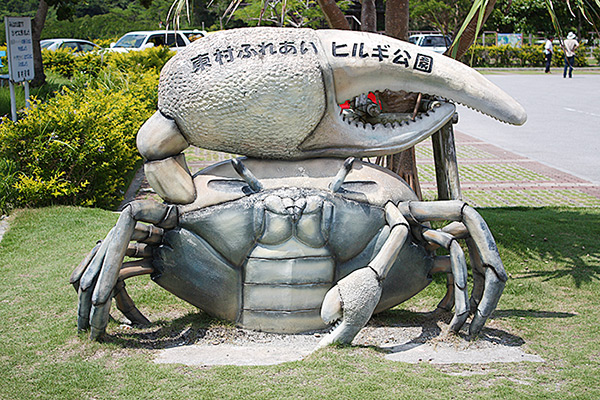 沖縄　体験　やんばる自然塾とは　東村ふれあいヒルギ公園