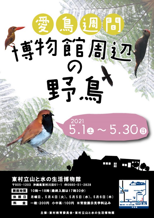 「博物館周辺の野鳥」展開催中！