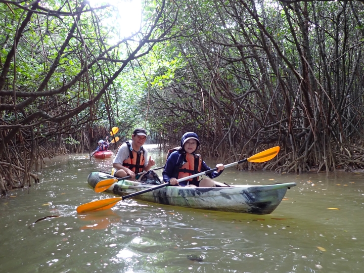 慶佐次川マングローブカヌーツアー(８月６日)