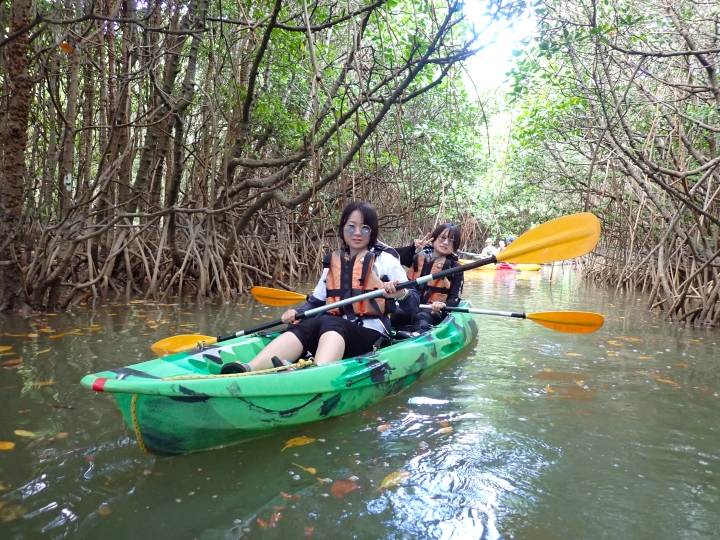 慶佐次川マングローブカヌーツアー(１０月１３日)