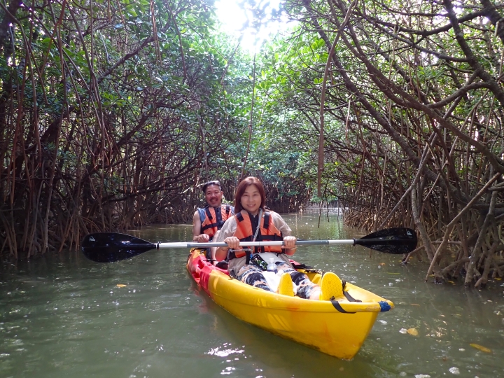 慶佐次川マングローブカヌーツアー(１１月１６日)