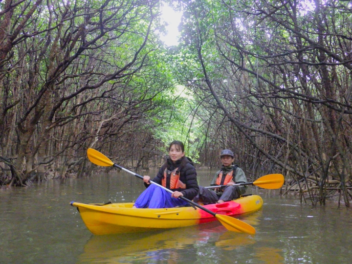 慶佐次川マングローブカヌーツアー（2026年1月19日）