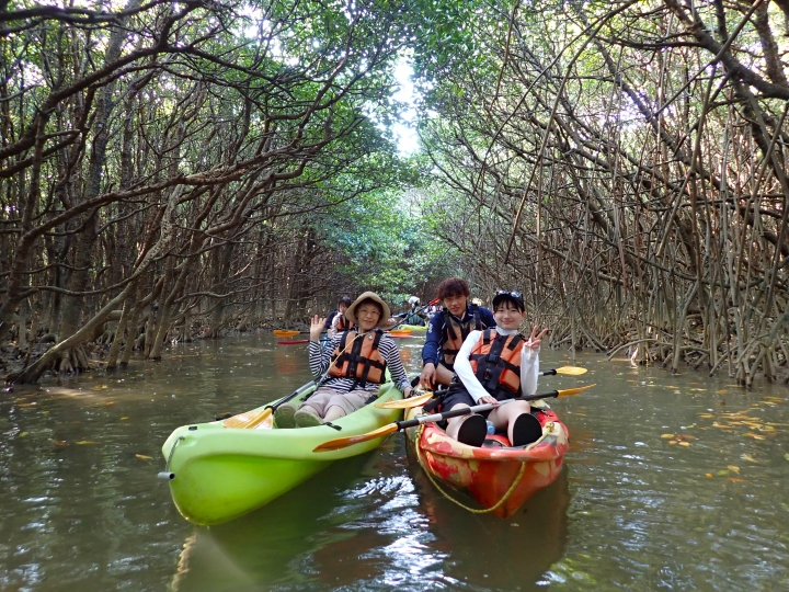 慶佐次川マングローブカヌーツアー（２０２６年３月１８日）