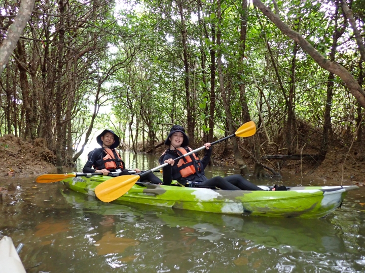 慶佐次川マングローブカヌーツアー(2026年4月30日)